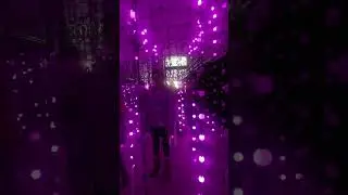 Immersive lights experience in Leicester #christmasdecorations
