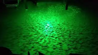 Hydro glow fishing light