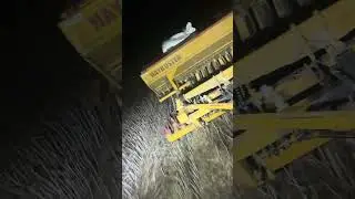 Planting rye