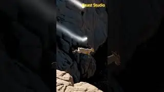 Spinning Mountain Goat Ascends the Sky Like an Eagle&mdash;Without Wings!