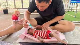 Get well soon, Baby Monkey Kyo&hellip; Dad&rsquo;s love was so gentle ❤️