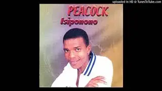 Peacock - Isiponono