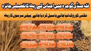maize wheat sesame  mustard millet jawar jantar rate today | Galla mandi rates today | Arshad Gujjar