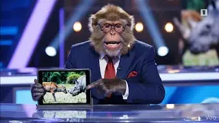 monkey new