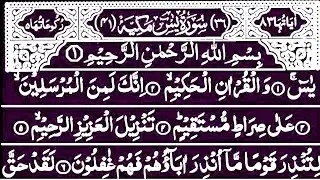 Surah Yaseen beautiful tilawat | Qur'an Pak ki tilawat |Ep 234 | surah Yaseen | surah Yaseen wajifa