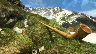 Franz Sch&uuml;ssele: Alter  Muotathaler