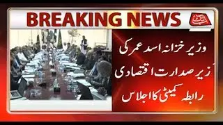 Finance Minister Asad Umar Chairs ECC Meeting