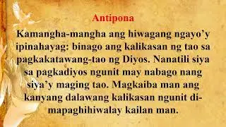 Jan 1, 2026 | 6 a.m.- Dakilang Kapistahan ni Maria, Ina ng Diyos