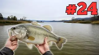 January Mid-Depth Transitions: The Overlooked Zone Where Big Bass Are Staging Right Now