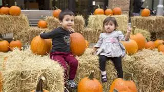 ten four social fall fest southpointe town center