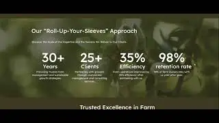 Best Web Design Agency in Dallas