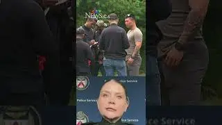 Woman dragged into wooded area in Toronto and sexually assaulted