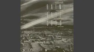 A Reassuringly Dull Sunday (Remastered 2003)