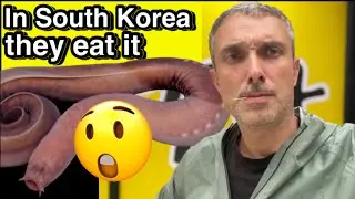 🇰🇷 Самая скользкая еда на Земле?! Почему корейцы любят миксину 🐍🍽️