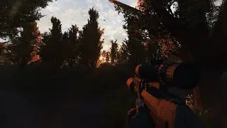 Стримачок по - Anomaly GAMMA #1