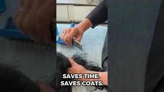 Dog Mats Slowing You Down? Try Artero Matt-X &mdash; The Ultimate Dematting Spray!