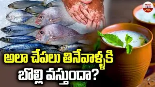 అలా చేపలు తినేవాళ్ళకి బొల్లి  వస్తుందా ?Vitiligo Causes In Telugu | Fish Vs Milk | Health Tips | ABN