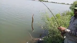 Baam fishing in rawal dam 2020 by super sadiq group