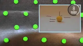 BIOS Lab on a Chip - Lennart de Vreede and Paul ter Braak - 20 seconds science