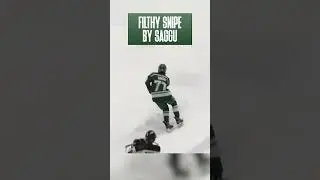 Picturesque Snipe 🎯