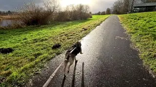 Bremerv&ouml;rde V&ouml;rder See - Schietwetterchallenge mit Hund