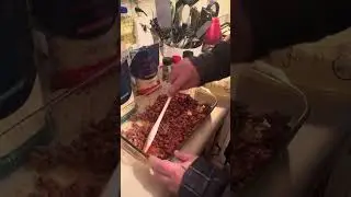Tim&rsquo;s cooking video cheese tortellini