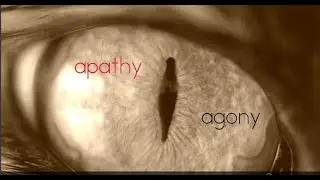 apathy/agony
