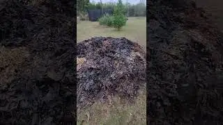 Making my compost #growyourownfood #growingtrees #propagating