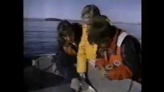 Owl TV Promo (1990)