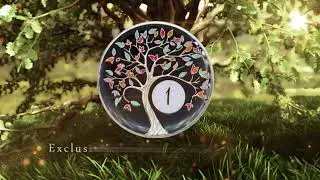Tree of Life AA Coin Reveal
