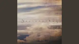 Notebook Memory