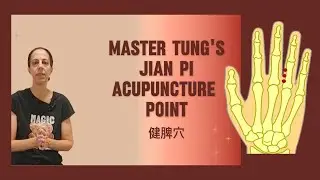 Master Tung's Jian Pi Acupuncture Point 【健脾穴】