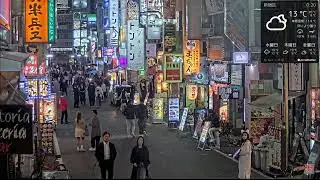Ice Poseidon and Hyubsama on the Kabukicho live cam