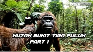 Vlog di hutan bukit tiga puluh .Riau ..part 1