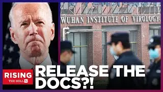 RELEASE THE DOCS! Lab Leak Remains CLASSIFIED In MASSIVE Disservice To Science, Truth: Emily Kopp