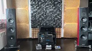 DM