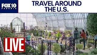 🔴LIVE WEBCAMS around the world | January 13 | FOX 10 Phoenix