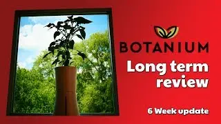 Botanium. Long term review: 6 Week update