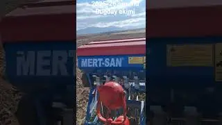 Massey ferguson 35 ve mertsan mibzer ile buğday ekiyorum.