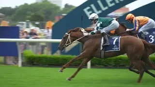 Gr.2 Jimmy Schick Shaw&rsquo;s Auckland Guineas - Well Written