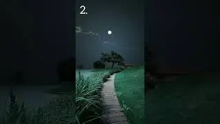 Which road will you choose to walk alone?✨💫#aesthetic #relaxing #aurora #shorts