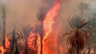 دوار توغزى ودوار تگرسيفت جماعة تمزموط عمالة زاكورة يحترقان .مشاهد مؤلمة ومبكية ابتداء من الدقيقة 10.