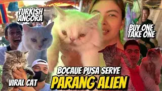 KAKAIBANG ITSURA NG PUSA | BOCAUE PUSA SERYE | MARCH 28, 2025