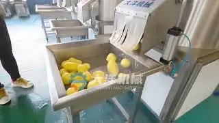 Potato peeling machine
