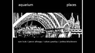 Aquarium - Milan (live at the Royal Festival Hall Clore Ballroom - 19.11.2011)