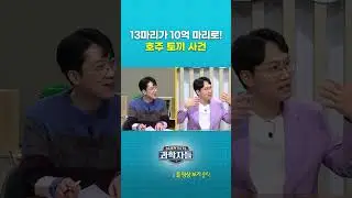 13마리가 10억 마리로! 호주 토끼 사건 #shorts