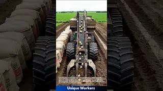 Automated harvest: a simple guide to potato harvesting