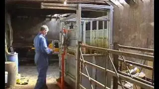 Ritchie Continental Improved Access Cattle Crate