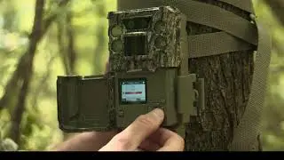 Bushnell Core DS No Glow and Low Glow Trail Cameras