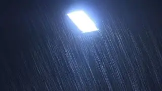 Typhoon Trami hits Tokyo